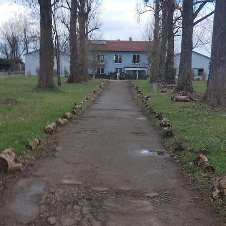 Grosse 3 Zi Wohnung Auf Der Pferde Farm Lahr  Esterno foto