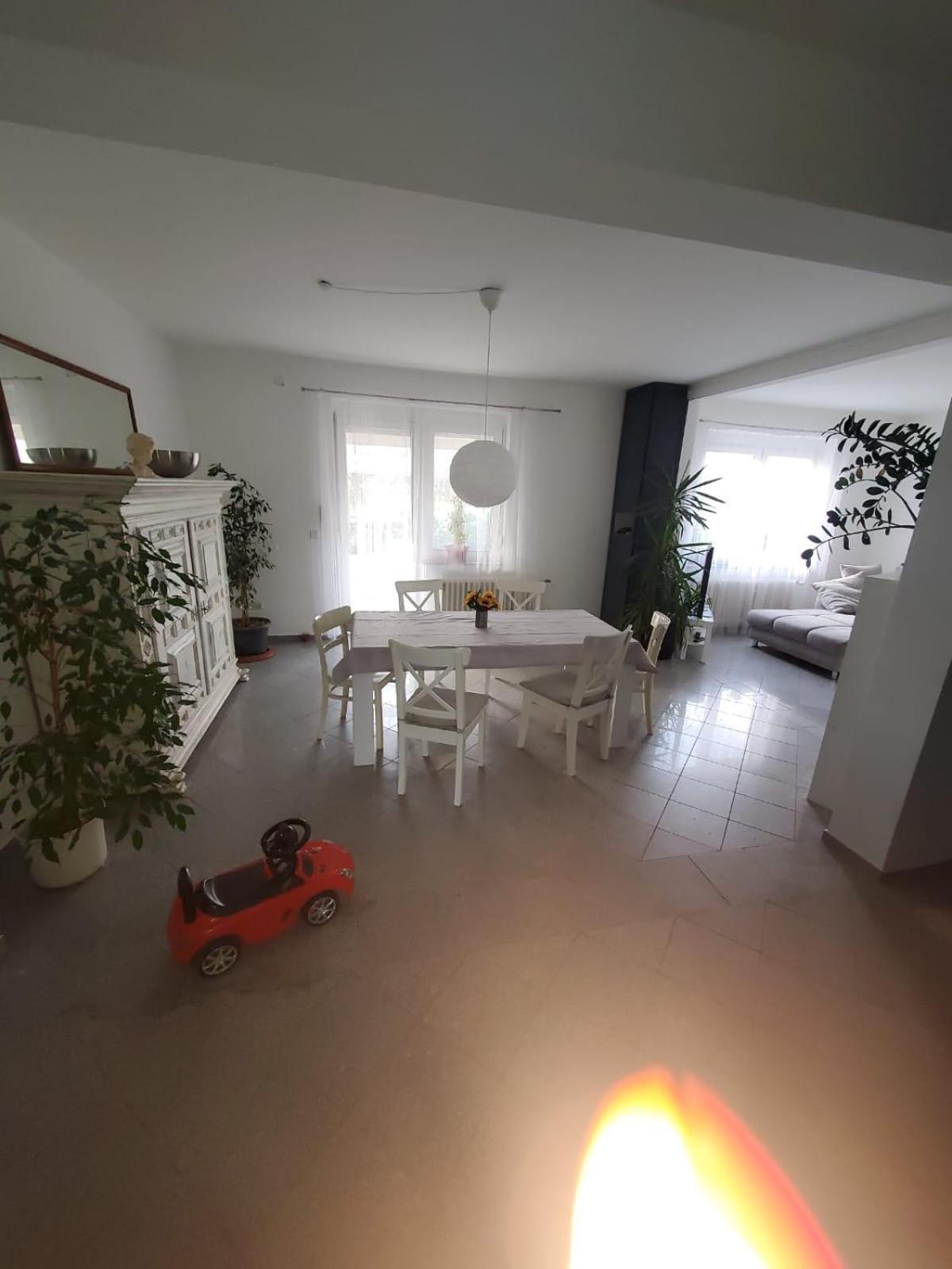 Grosse 3 Zi Wohnung Auf Der Pferde Farm Lahr  Esterno foto