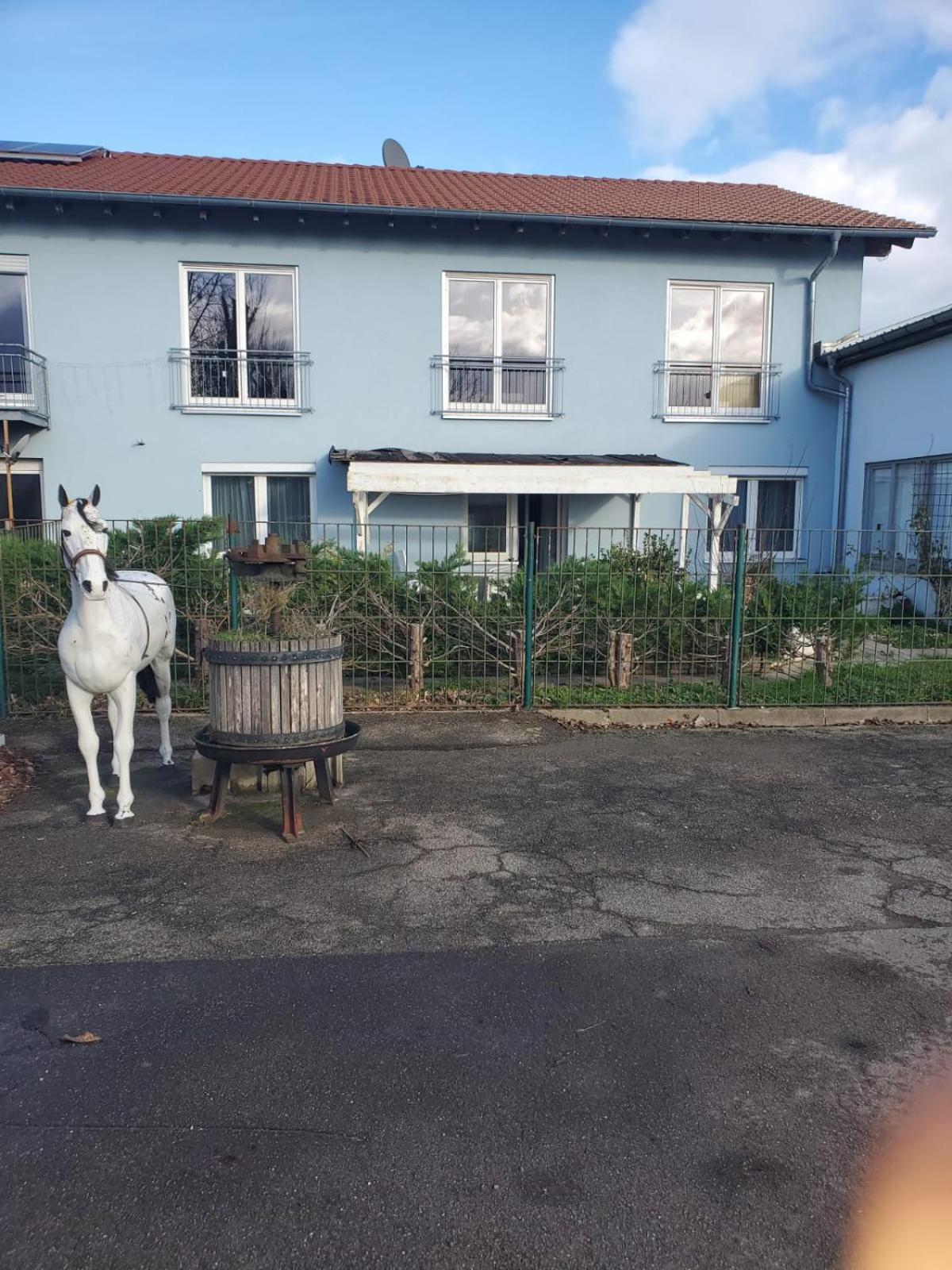 Grosse 3 Zi Wohnung Auf Der Pferde Farm Lahr  Esterno foto